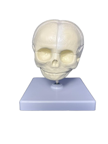 Product image thumbnail
